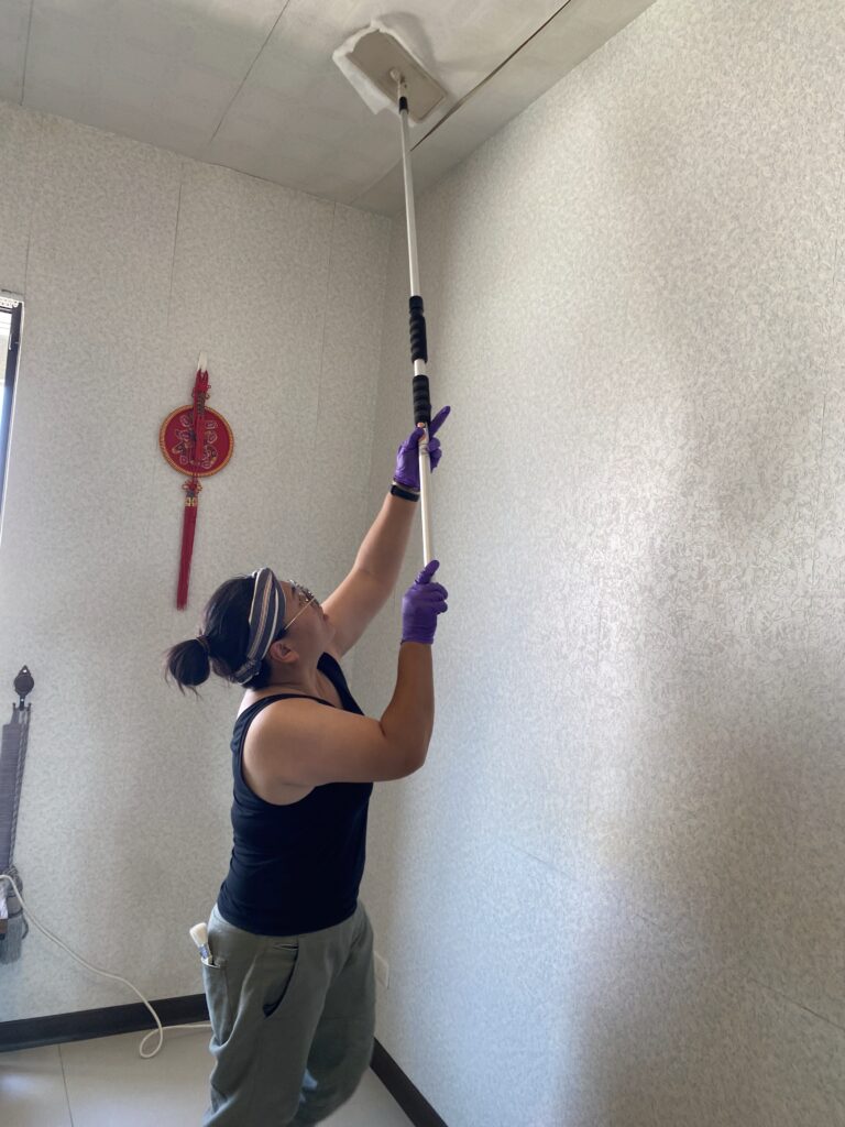 home-cleaning-plan-5 擦拭天花板