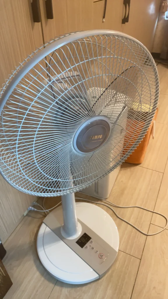 IMG_3306 電風扇
