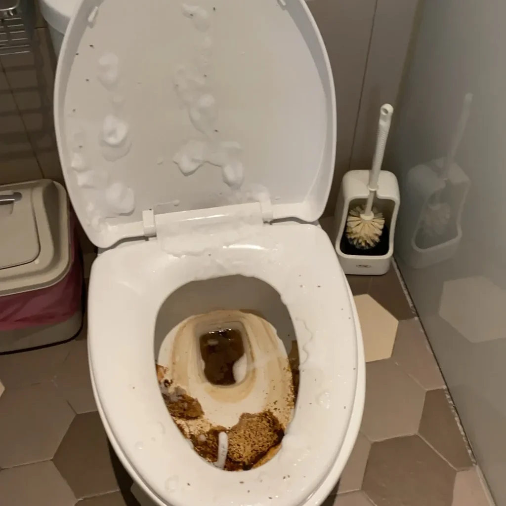bathroom-cleaning-5 馬桶噴清潔劑