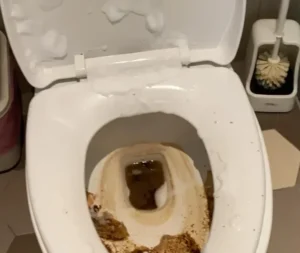 馬桶噴清潔劑