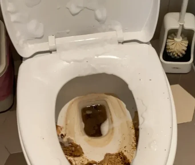 馬桶噴清潔劑
