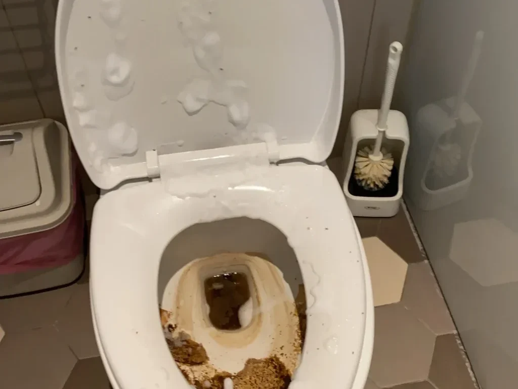 bathroom-cleaning-5 馬桶噴清潔劑