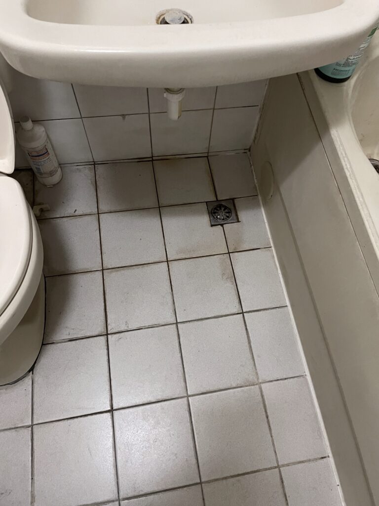 bath-drain-4 一間未清洗的浴廁