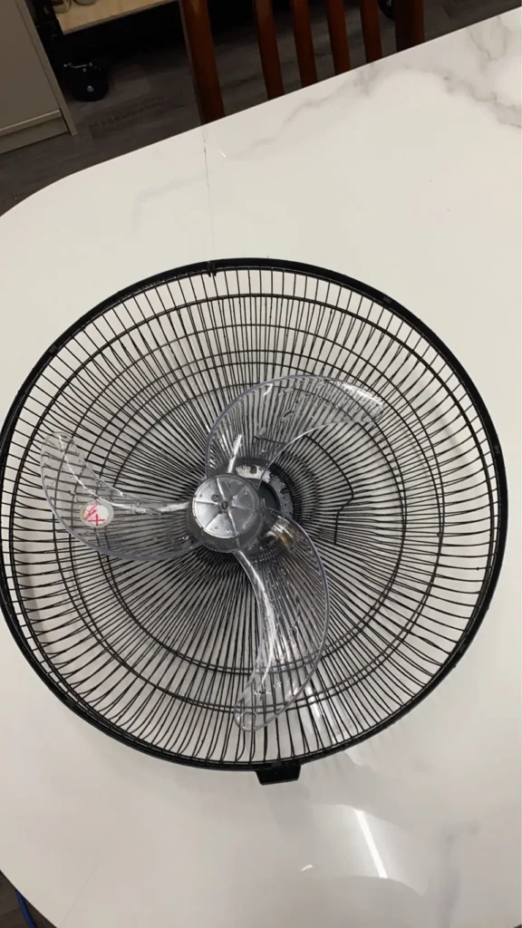 S__7544879 洗乾淨的葉扇片跟網片